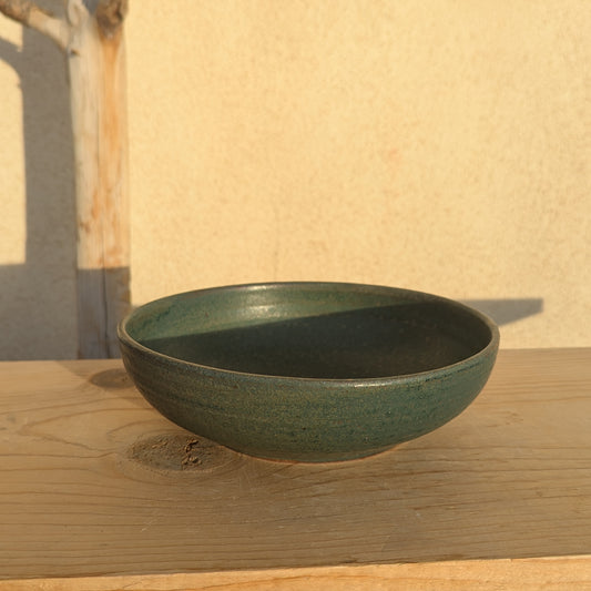 Pasta Bowl in Green